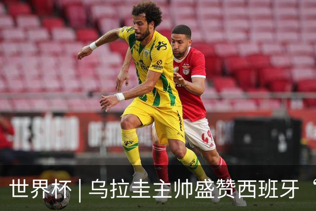 世界杯 | 乌拉圭主帅盛赞西班牙“精致足球”