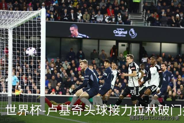 世界杯-卢基奇头球接力拉林破门扳平 加拿大1-1波黑